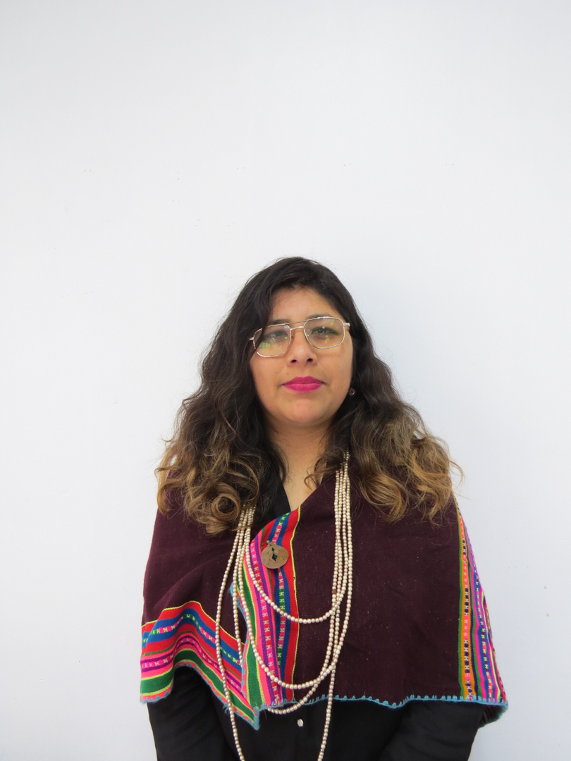 Retrato de Prof. Irma Sanquea, docente del Colegio Rukalaf en La Serena